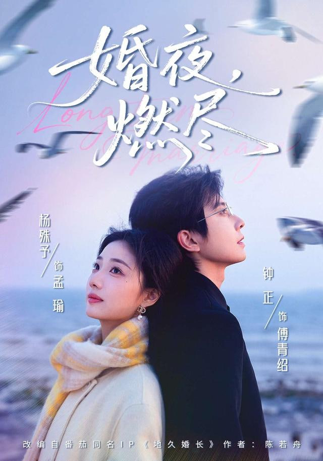 婚夜，燃尽(全集)