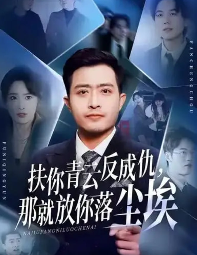 扶你青云反成仇，那就放你落尘埃(全集)