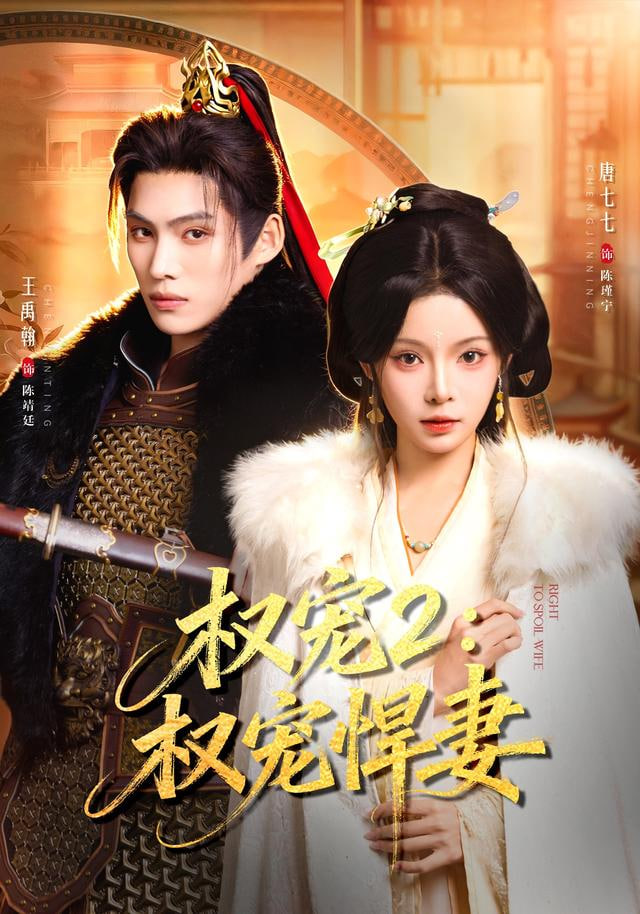 权宠2权宠悍妻(全集)