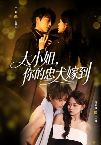 大小姐，你的忠犬嫁到(全集)