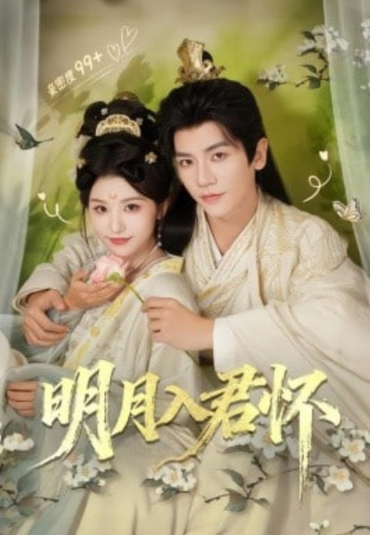 明月入君怀(全集)