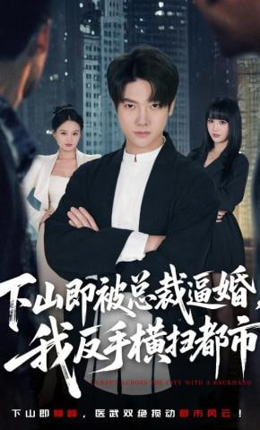 下山即被总裁逼婚，我反手横扫都市(全集)