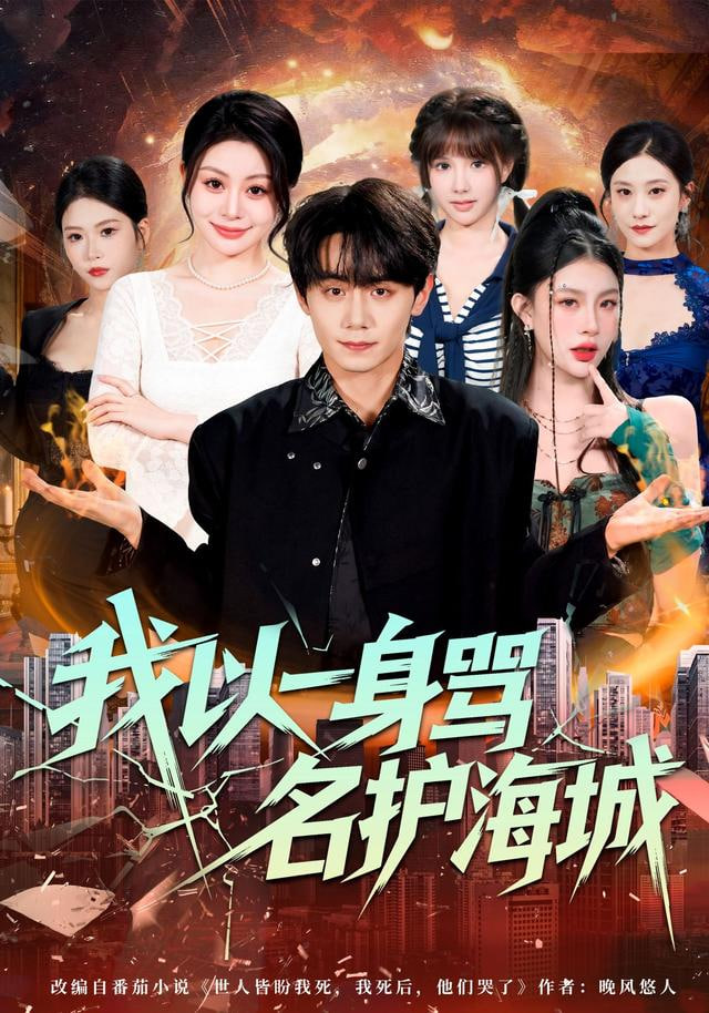 我以一身骂名护海城(全集)