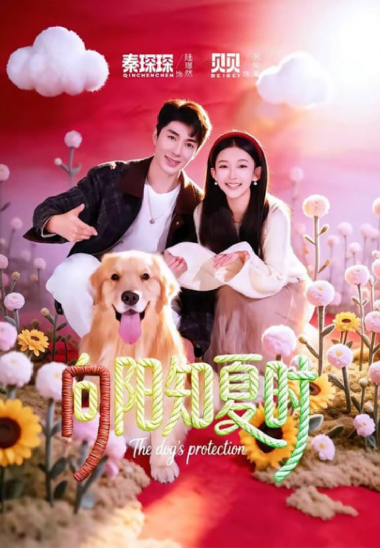 向阳知夏时(全集)