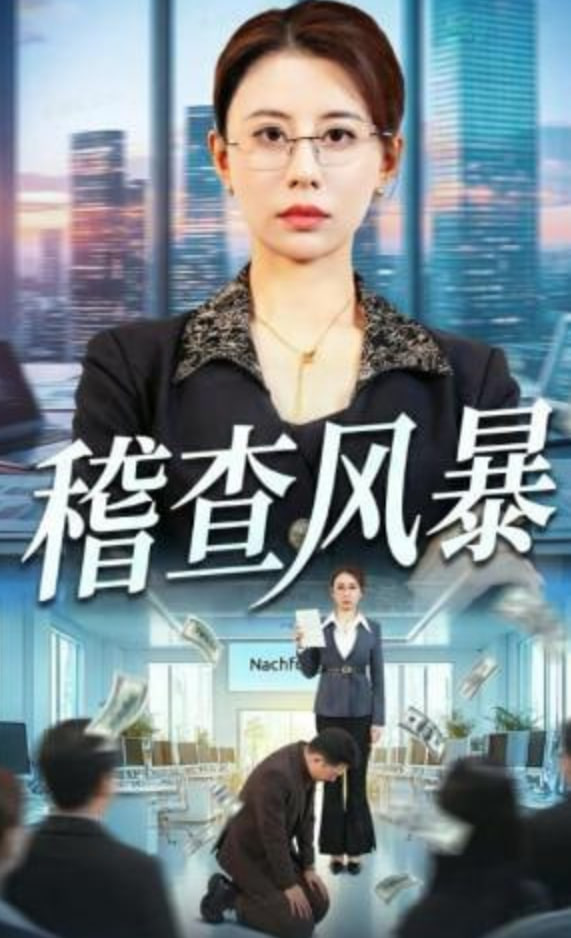 稽查风暴(全集)