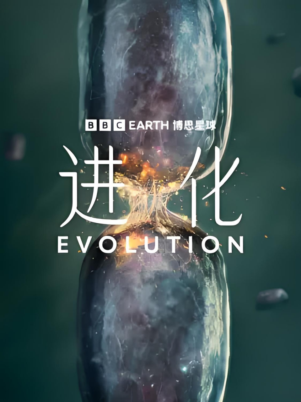 进化（中配版）(全集)